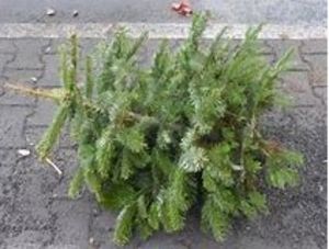 Weihnachtsbaum liegt auf dem Bürgersteig