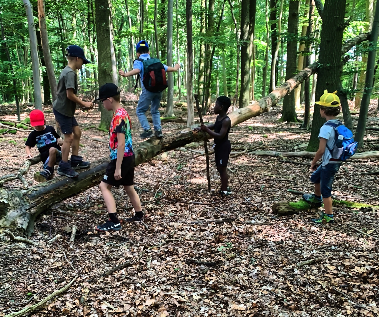 eine Gruppe Kinder klettert und erkundet den Wald